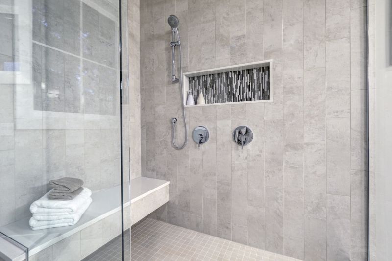 Sleek Shower Space